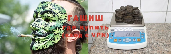 индика Гусев