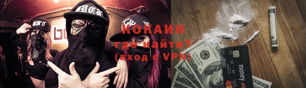 гидра Гусиноозёрск