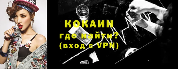 гидра Гусиноозёрск