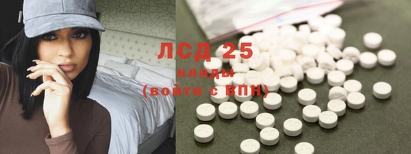 индика Гусев