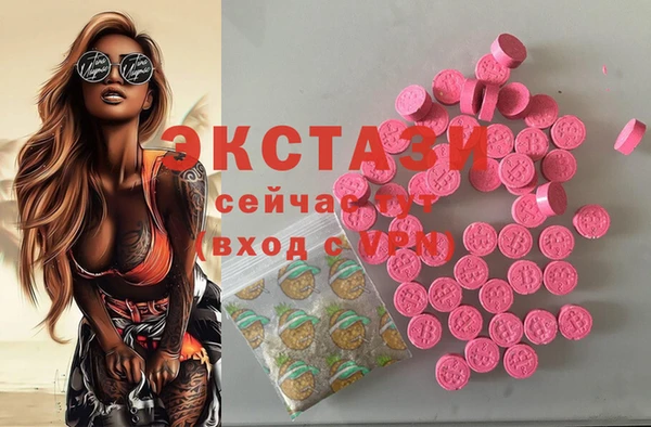 гидра Гусиноозёрск