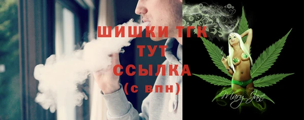 мдпв Гусь-Хрустальный