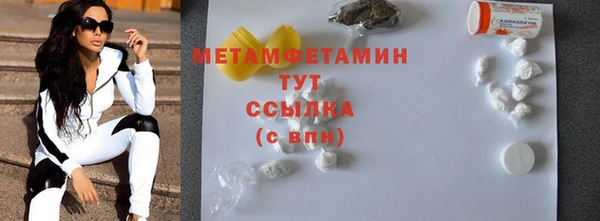 индика Гусев