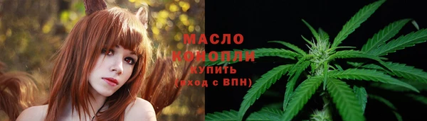 мдпв Гусь-Хрустальный