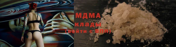 индика Гусев