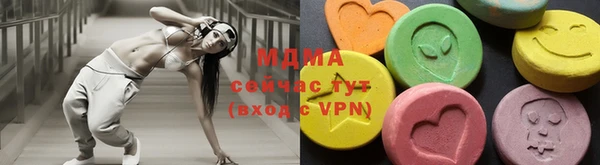 индика Гусев
