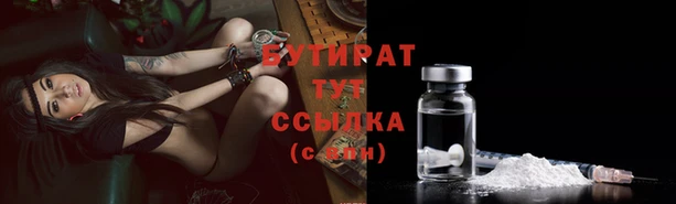 индика Гусев