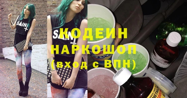 индика Гусев