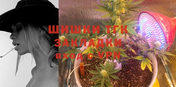 мдпв Гусь-Хрустальный