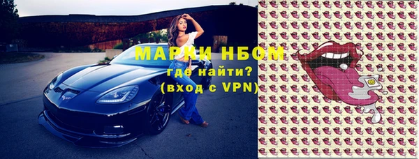 гидра Гусиноозёрск