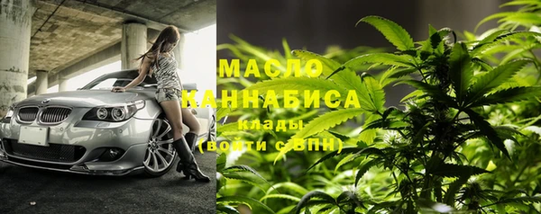 мдпв Гусь-Хрустальный