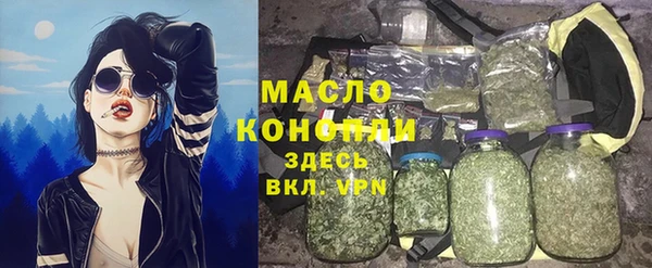 гидра Гусиноозёрск