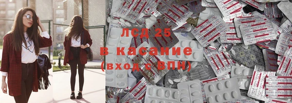 индика Гусев