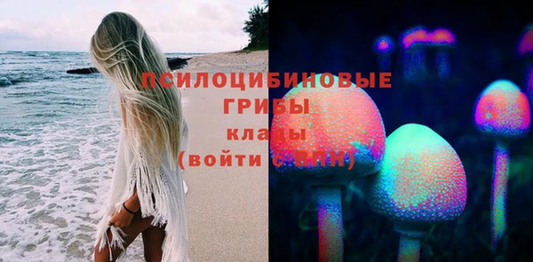 индика Гусев