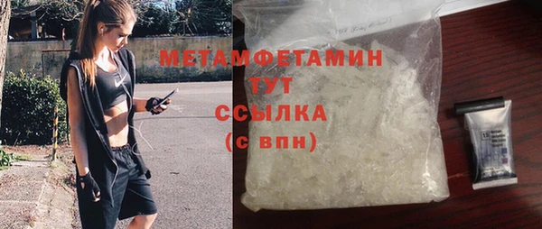 индика Гусев