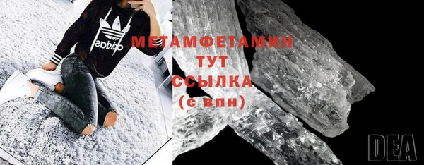 индика Гусев