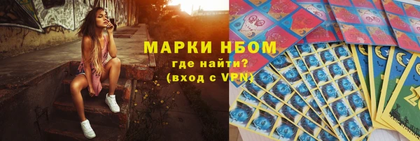гидра Гусиноозёрск
