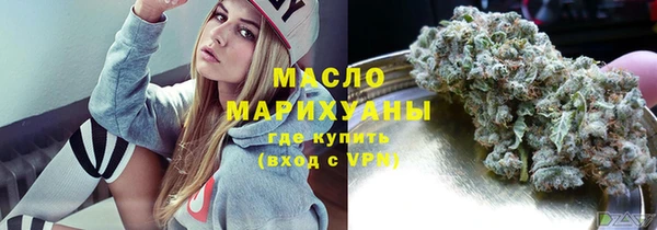 мдпв Гусь-Хрустальный