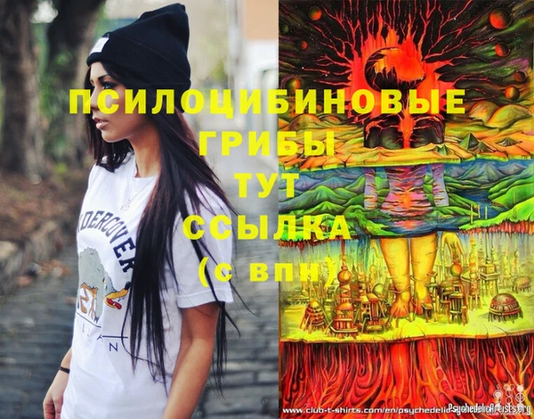 мдпв Гусь-Хрустальный