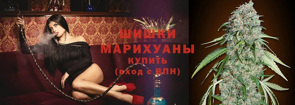 мдпв Гусь-Хрустальный