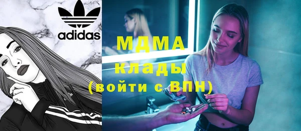индика Гусев