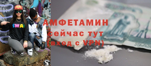 индика Гусев