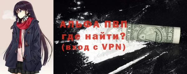 индика Гусев