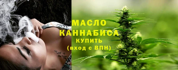 индика Гусев