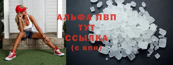 гидра Гусиноозёрск