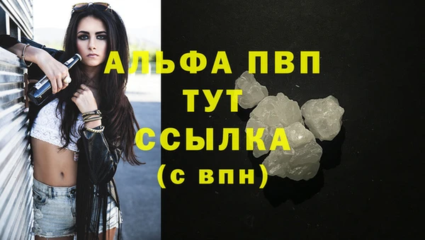 гидра Гусиноозёрск