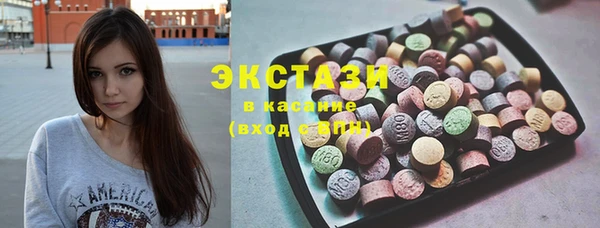 индика Гусев