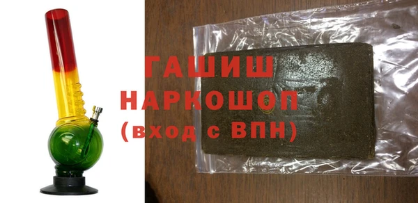 индика Гусев